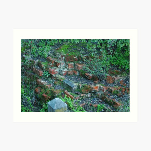 Overgrown Art Print