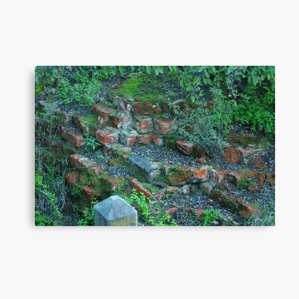 Overgrown Canvas Print