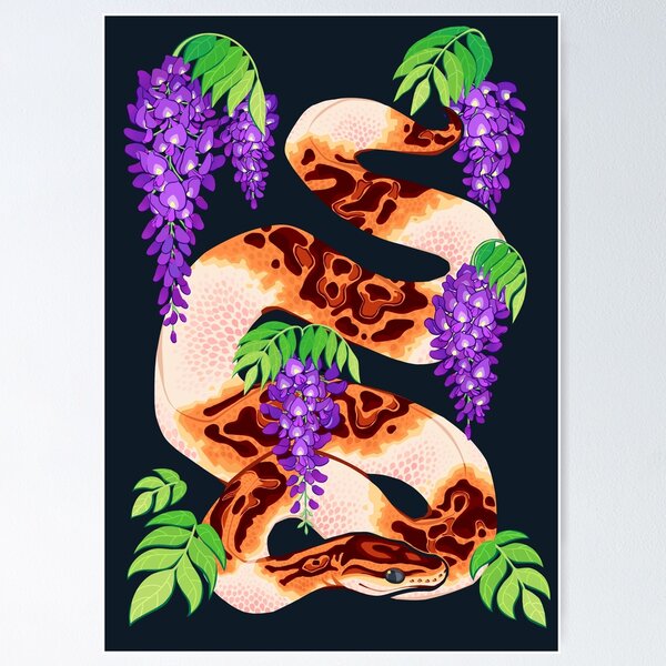 Item preview, Wisteria ball python designed and sold by Colordrilos.