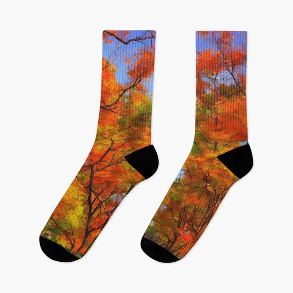 Item preview, A fall landscape of a park in anime background with warm color palate designed and sold by Art-of-AI.