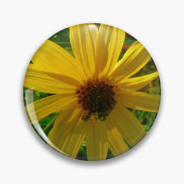Item preview, Sunlit daisy with insects designed and sold by Shulie1.