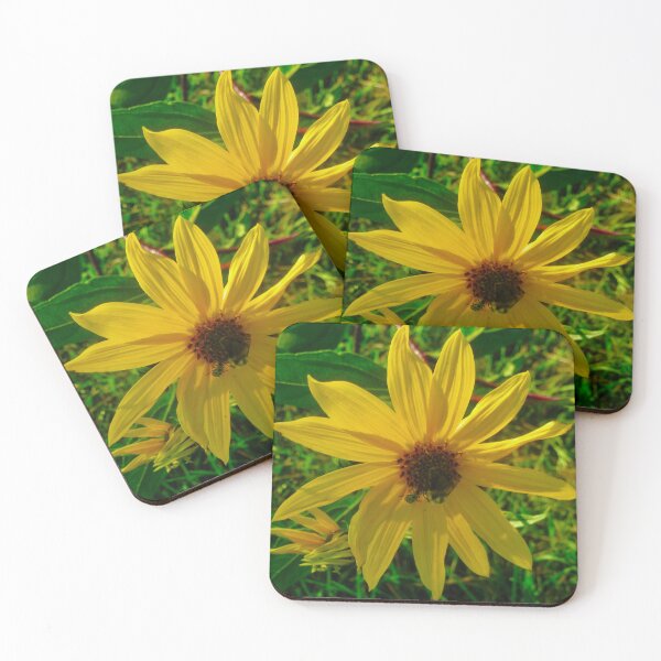 Item preview, Sunlit daisy with insects designed and sold by Shulie1.