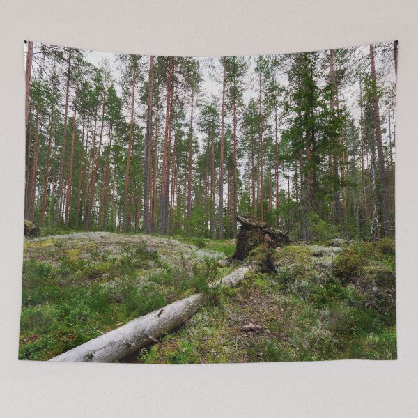 Artikelvorschau, Kohlenstoff zu Kohlenstoff entworfen und verkauft von Jouko Lehto Photography.