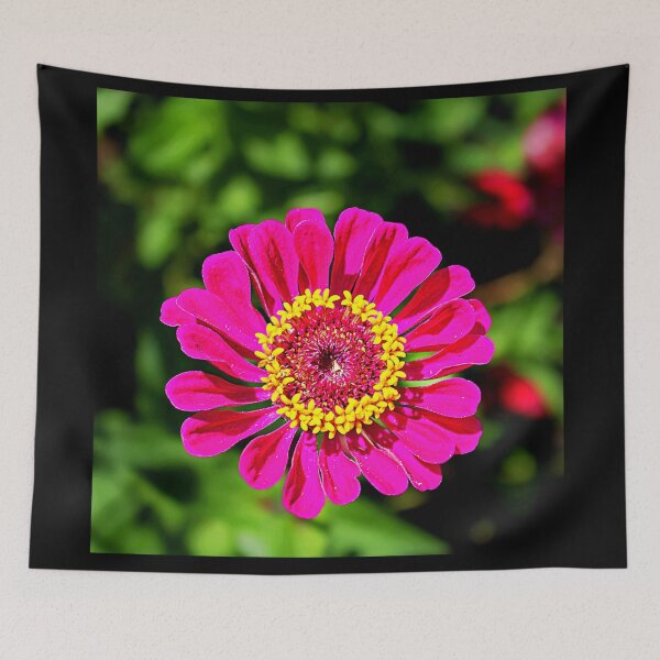 Item preview, Wild Zinnia flower in the mid day sun designed and sold by Traveltejas.