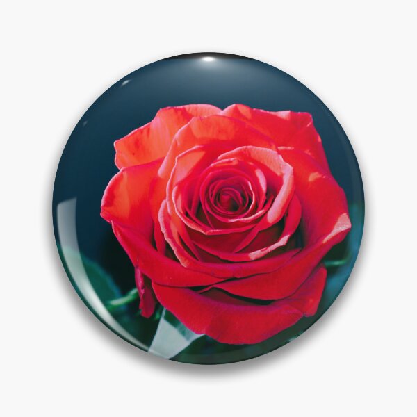 Item preview, rosa rugosa designed and sold by mj200.