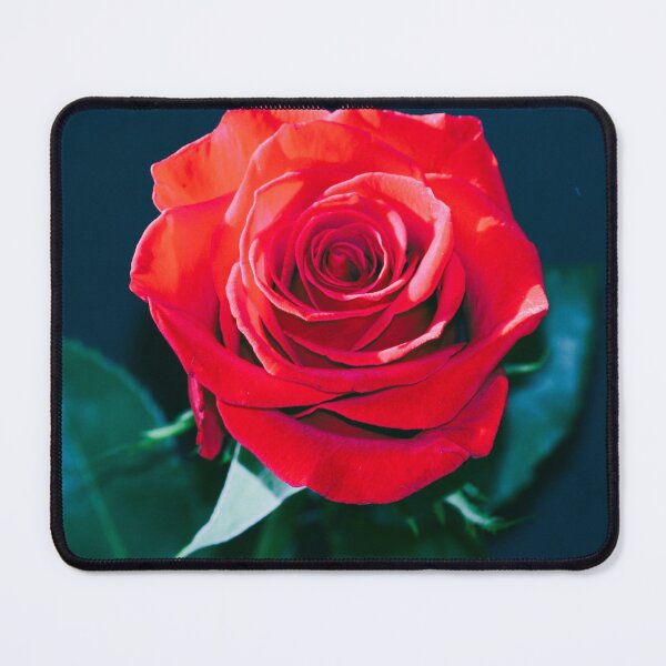 Item preview, rosa rugosa designed and sold by mj200.