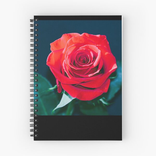 Item preview, rosa rugosa designed and sold by mj200.