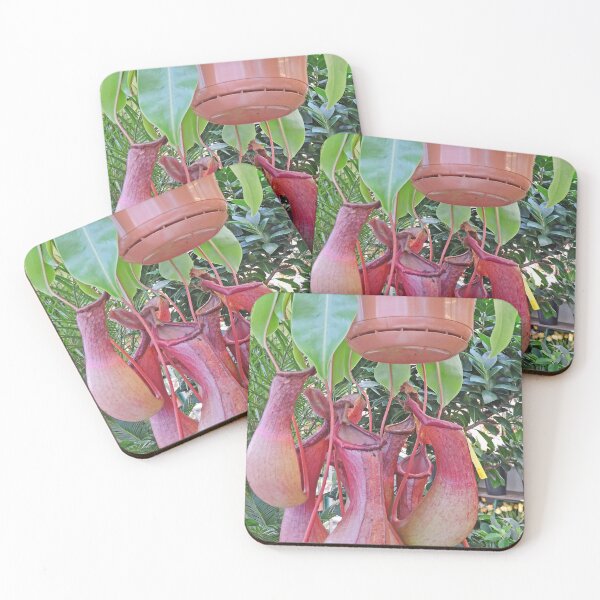 Item preview, Pitcher Plant designed and sold by Graeme  Hyde.
