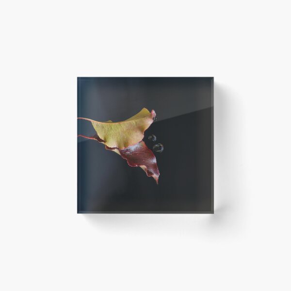 Item preview, Autumn designed and sold by Bevlyn.