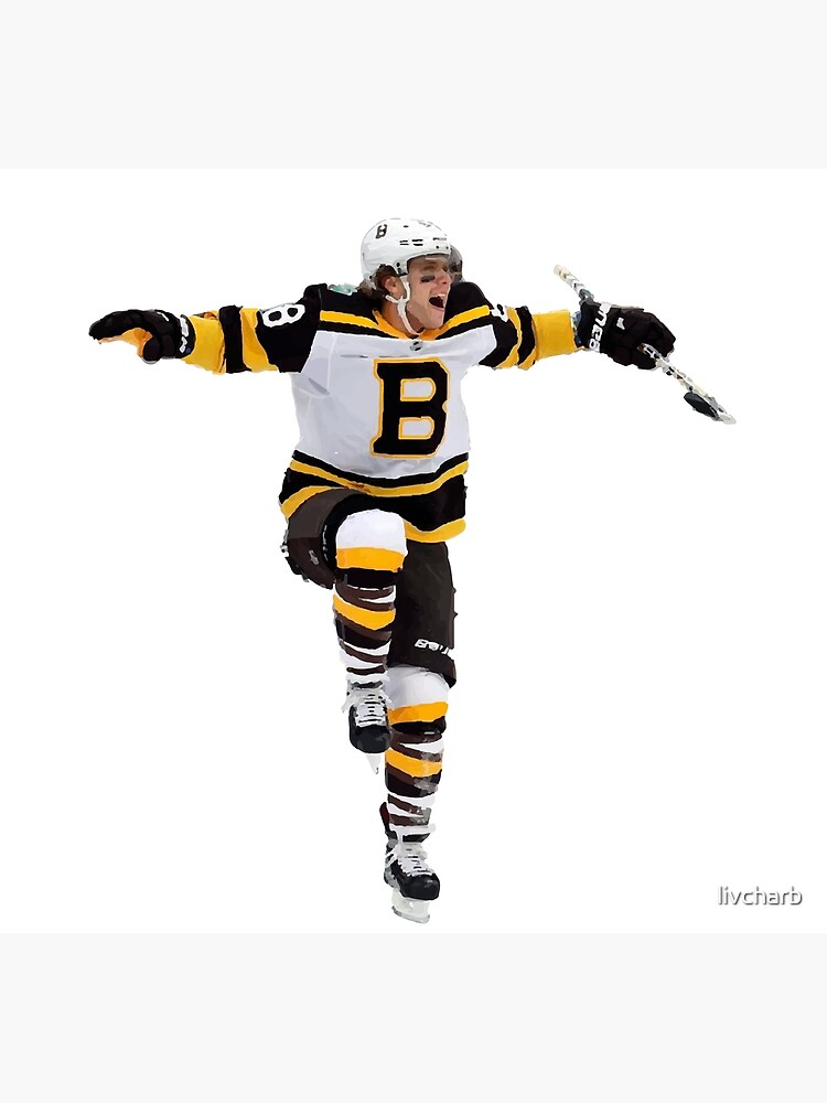 David Pastrnak Winter Classic Art Print for Sale by livcharb Redbubble