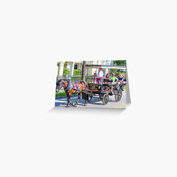 Charleston City Tours Greeting Card