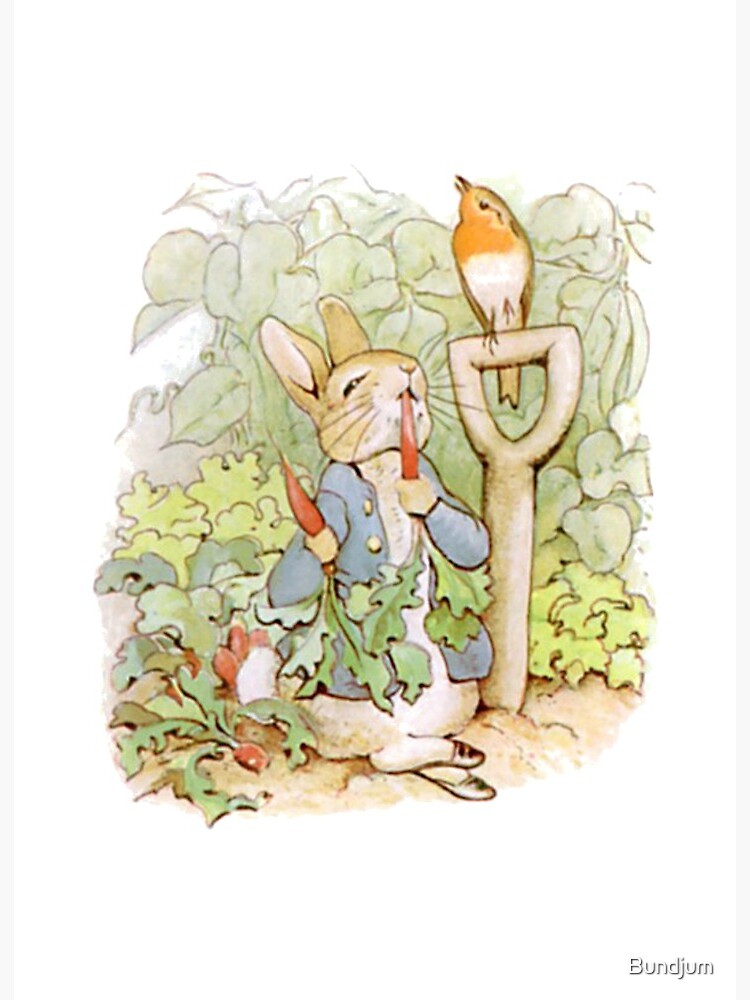 Peter Rabbit and his mother  Photographic Print for Sale by Bundjum