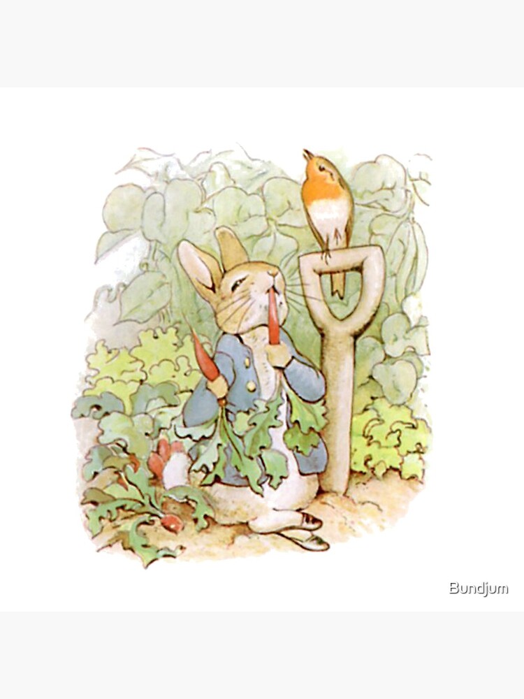 Peter Rabbit Steals Carrots by Bundjum