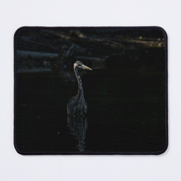 Item preview, Heron in search designed and sold by wildPhotoz.