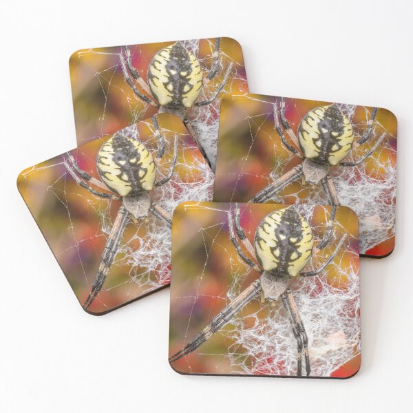 Item preview, Golden Garden Spider (Argiope aurantia) designed and sold by spiderdaynight.