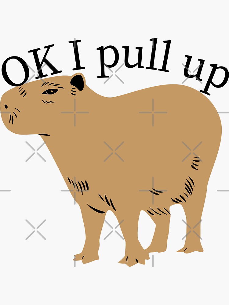 "OK I pull up" Sticker for Sale by Megurix | Redbubble