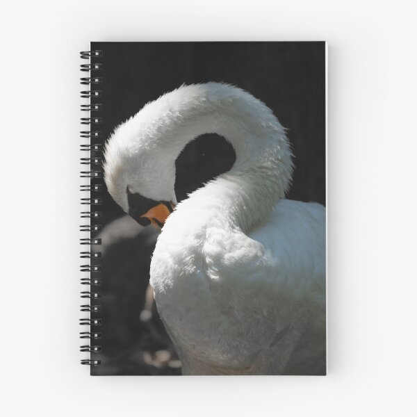 Item preview, Limpieza de cisnes designed and sold by wildPhotoz.