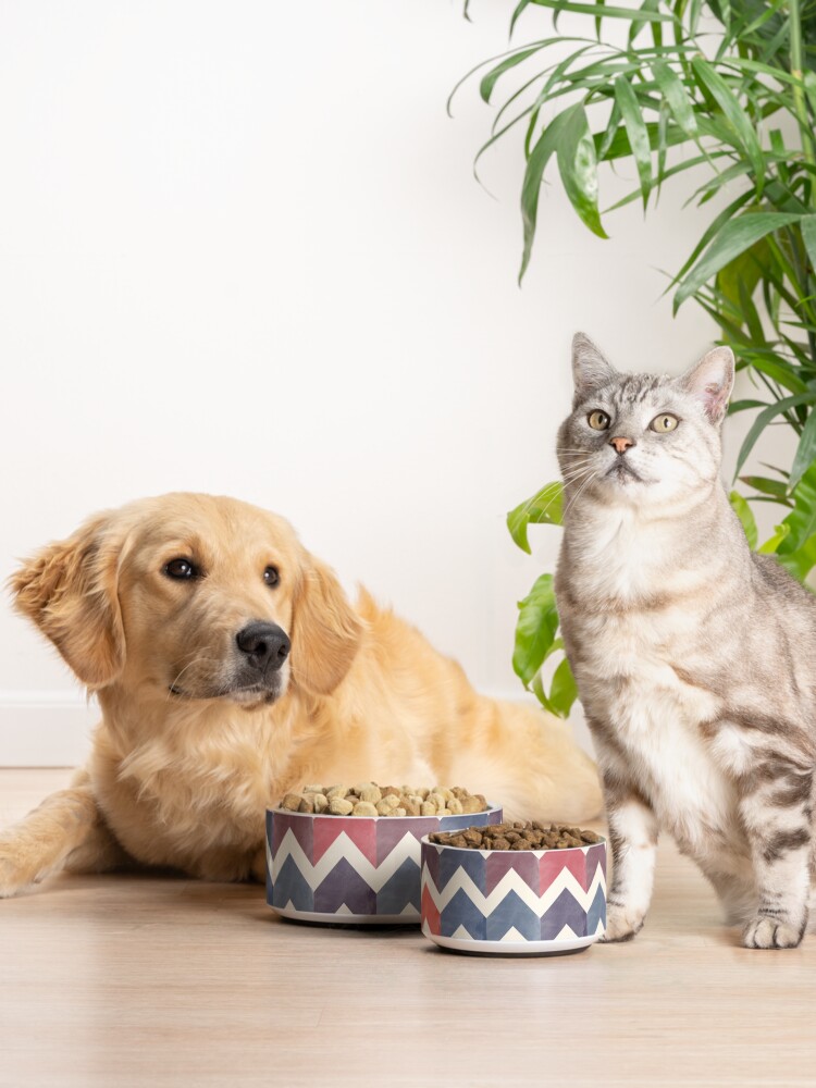 Alternate view of Watercolor Chevron Pattern Pet Bowl