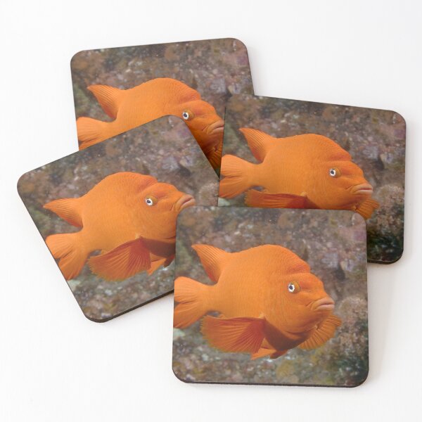 Item preview, It's The Gary Garibaldi Show! designed and sold by terry goss.
