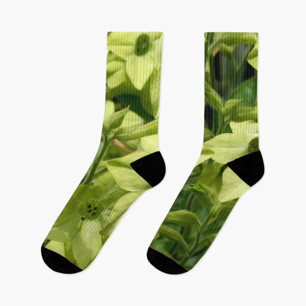 Item preview, Five Petals Light Green Flowers - Cute Floral designed and sold by Vero De.