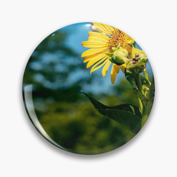 Item preview, Hailing the sun! designed and sold by Joel Bader.