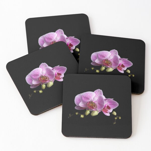 Artikelvorschau, Orchidee Close Up entworfen und verkauft von The Bored Giraffe.