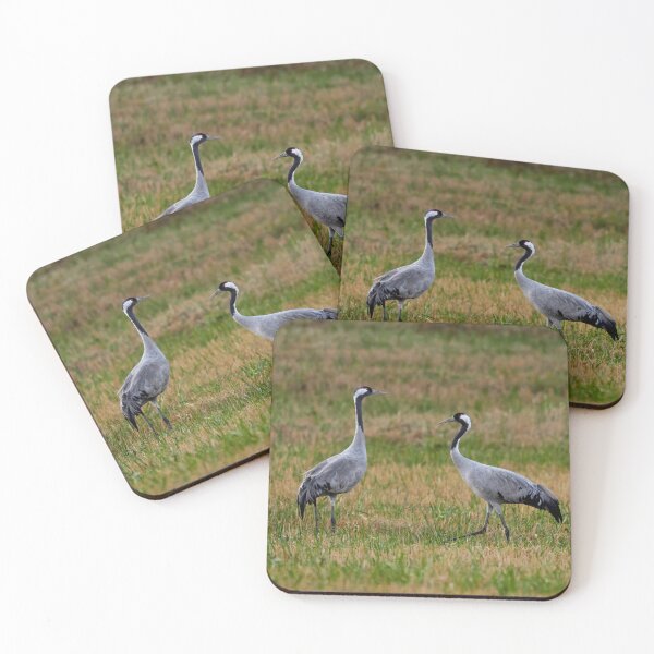 Item preview, Step by step. Eurasian crane designed and sold by Jouko Lehto Photography.