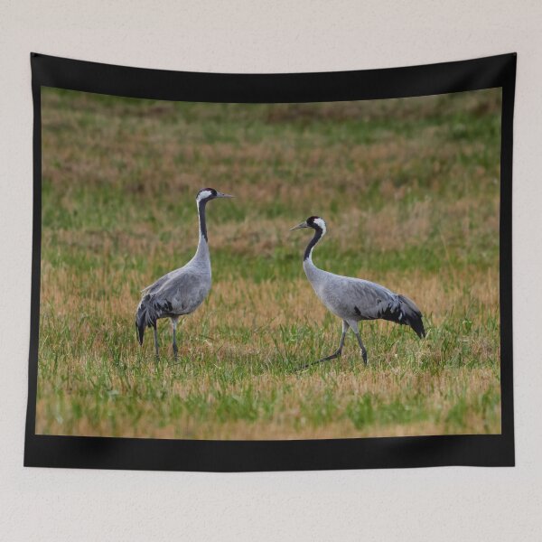 Item preview, Step by step. Eurasian crane designed and sold by Jouko Lehto Photography.