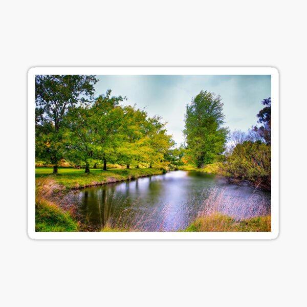 Item preview, Mother Of Ducks Lagoon designed and sold by wallarooimages.