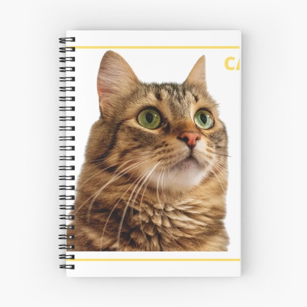 Item preview, Cat recognized by ML model designed and sold by anaderol.