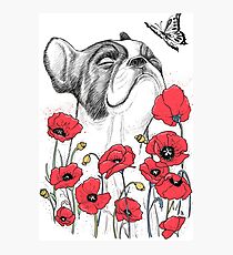Pug in flowers Photographic Print