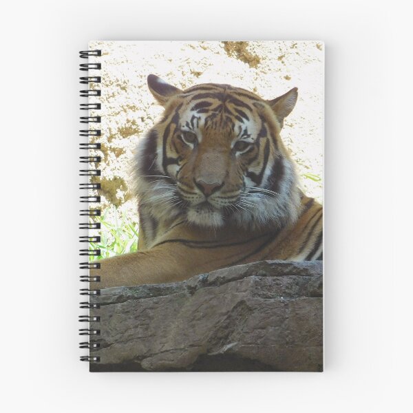 Item preview, Sassy Tiger designed and sold by SlothyShaw.
