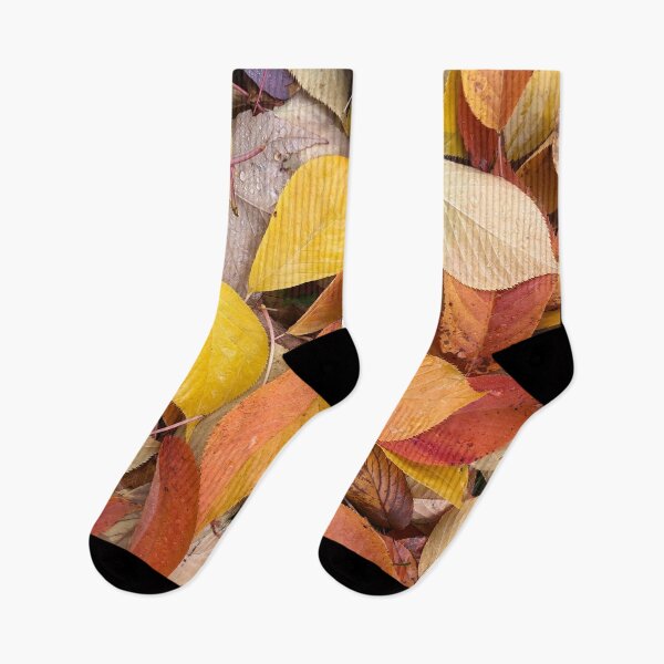 Item preview, Colorful Fall designed and sold by Photomersion.