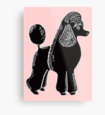 Black Standard Poodle Metal Print