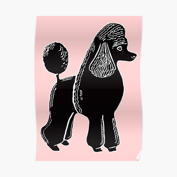 Black Standard Poodle Poster By AbigailDavidson Redbubble   Poster,504x498,f8f8f8 Pad,600x600,f8f8f8.u2 