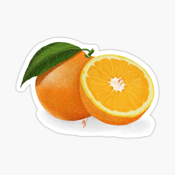 nothing-rhymes-with-orange-sticker-for-sale-by-dandelion9999-redbubble