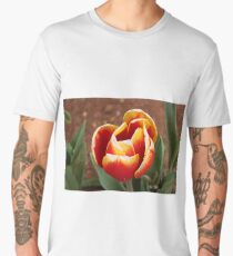 Red and yellow tulip Men's Premium T-Shirt