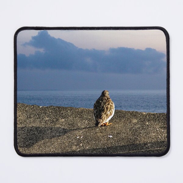 Item preview, Sandpiper Coastal Bird Sea View Scenic Seascape designed and sold by Anna Lemos.
