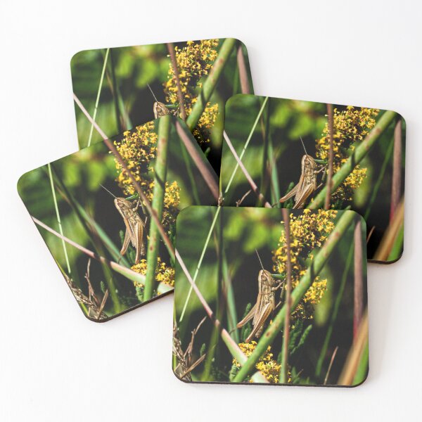 Item preview, grasshopper designed and sold by Robert4562.