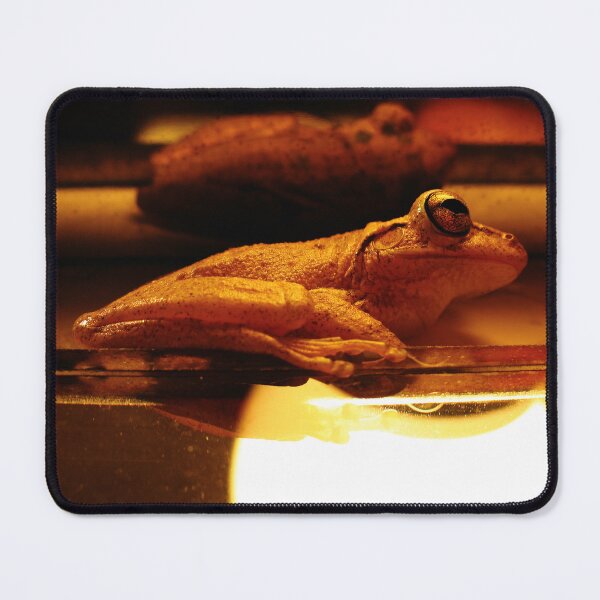 Item preview, Frog on a Mirror by GatorDesign designed and sold by GatorDesign.
