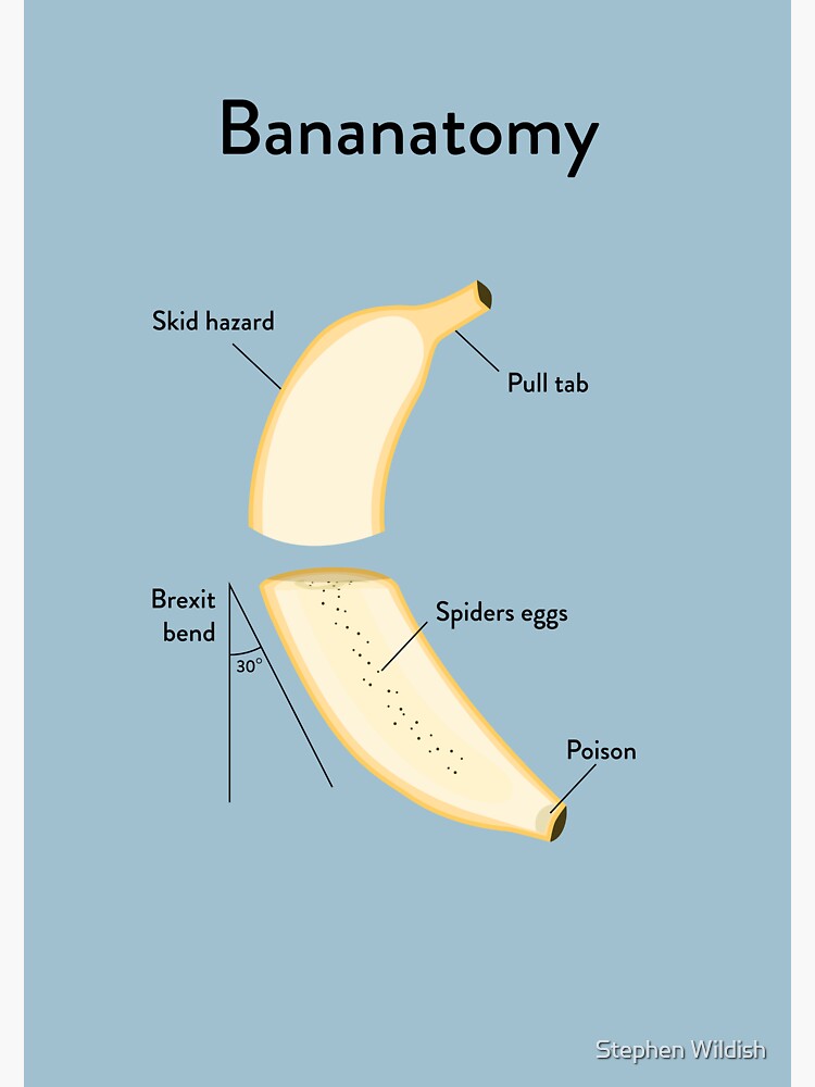 "Banana Anatomy" Sticker by Wildyles Redbubble