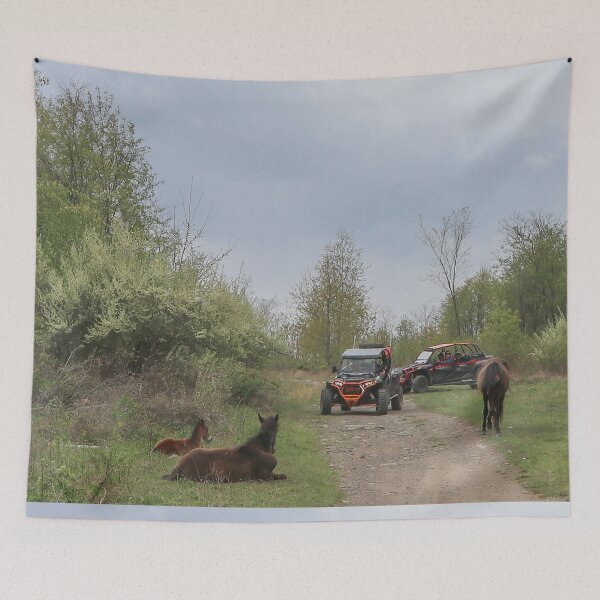 Item preview, Wheelers driving slowly by wild horses designed and sold by Katherine Rose.