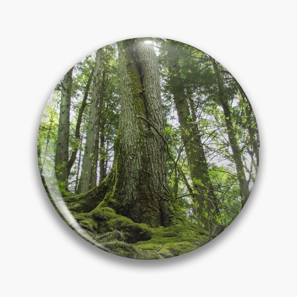 Item preview, Un bosque que llega al cielo designed and sold by pocketurtle.