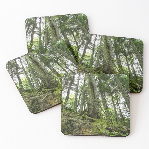 Item preview, A Forest Reaching To The Sky designed and sold by pocketurtle.