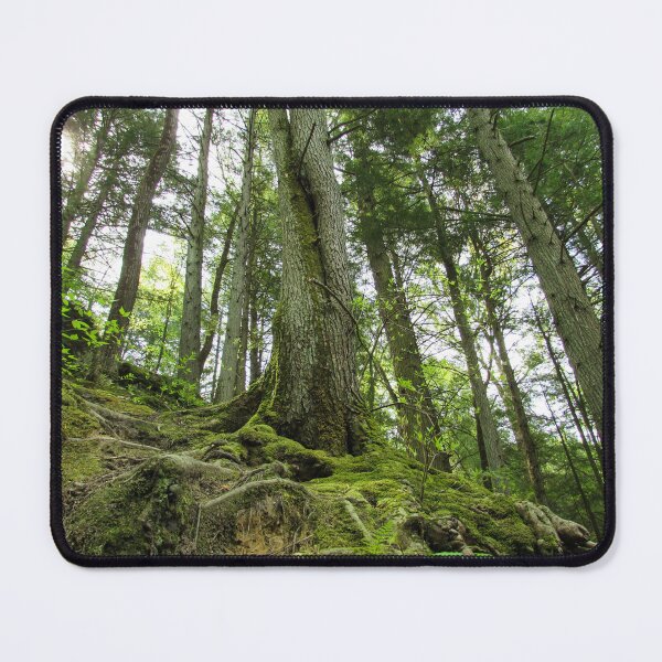 Item preview, A Forest Reaching To The Sky designed and sold by pocketurtle.