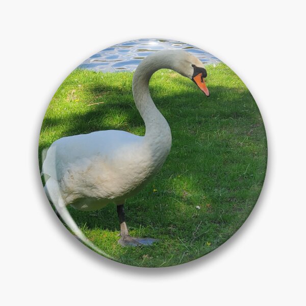 Item preview, Swan by the river, Germany designed and sold by DriftwoodOilArt.