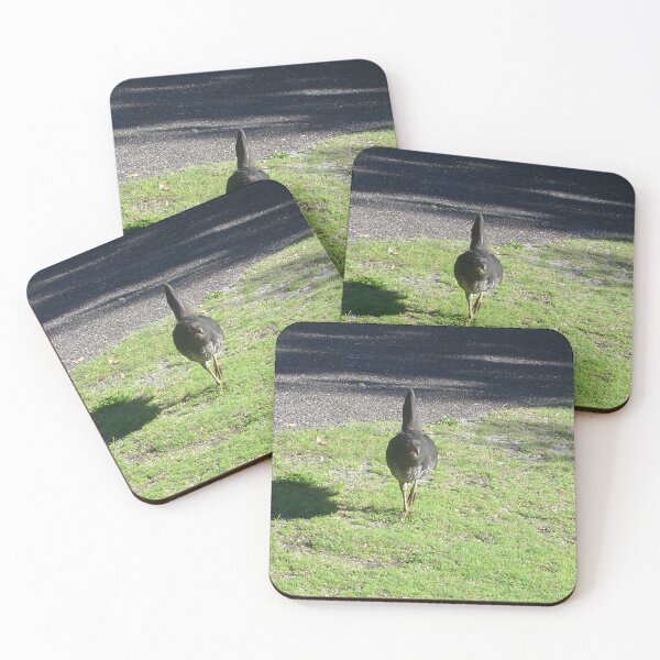 Item preview, Bush Turkey - Myall Lakes designed and sold by KazM.