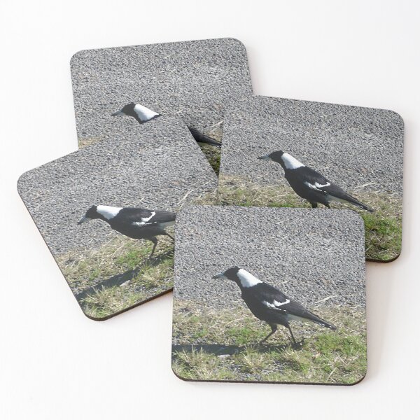 Item preview, Myall Magpie designed and sold by KazM.