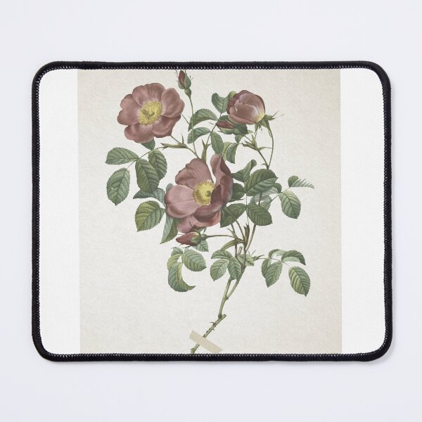 Item preview, Vintage Botanic Print, Vintage Red Flower, Vintage Floral Print  designed and sold by Dal Thibian.