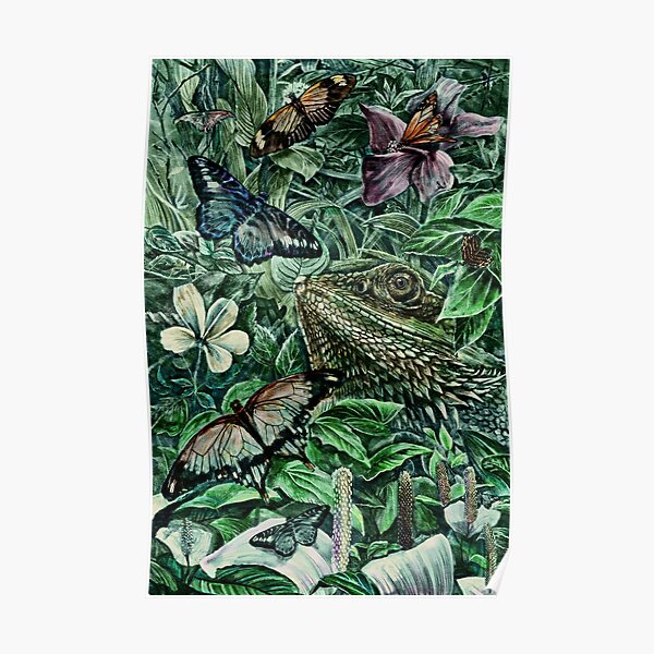 Bearded Dragon and Butterflies - Colour Poster